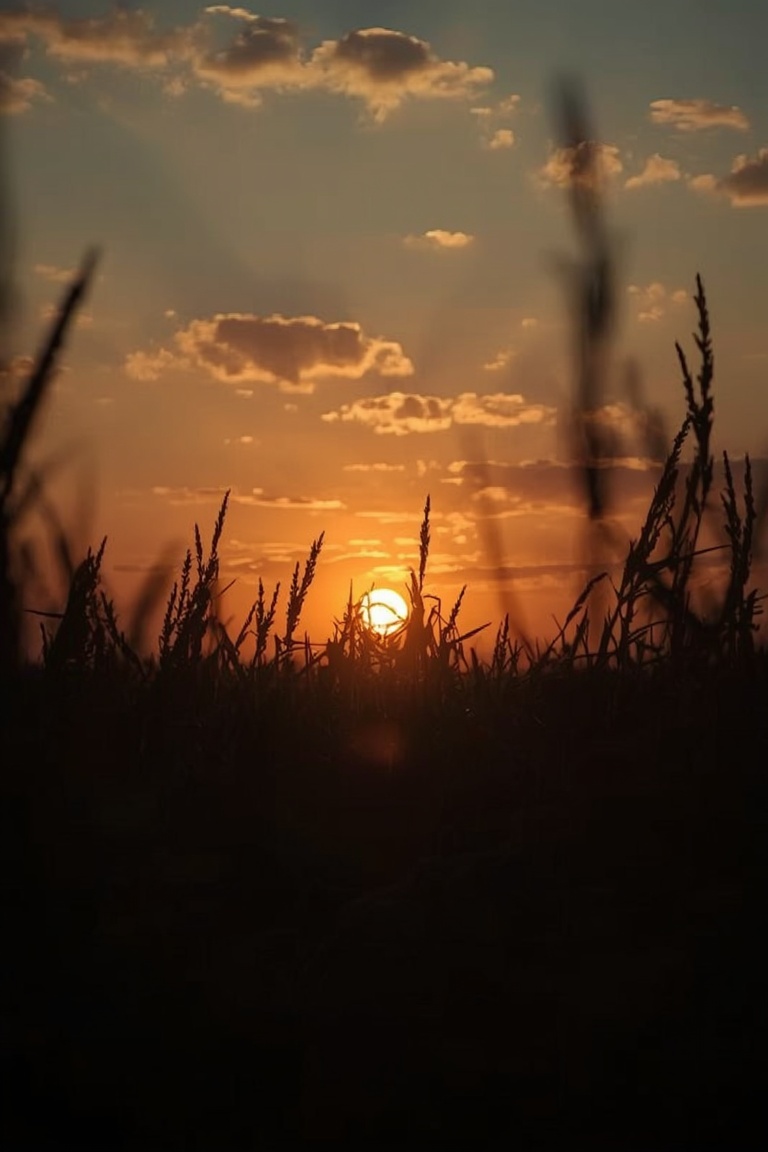 Beautiful Sunrise Inspiration